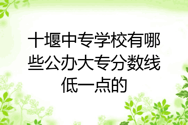 十堰中专学校有哪些公办大专分数线低一点的