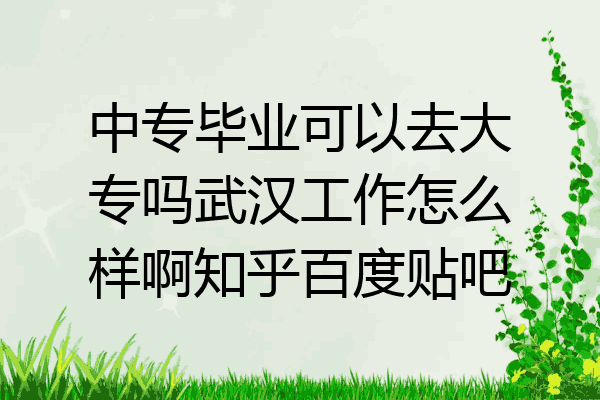 中专毕业可以去大专吗武汉工作怎么样啊知乎百度贴吧