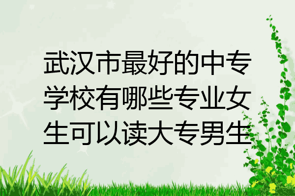 武汉市最好的中专学校有哪些专业女生可以读大专男生