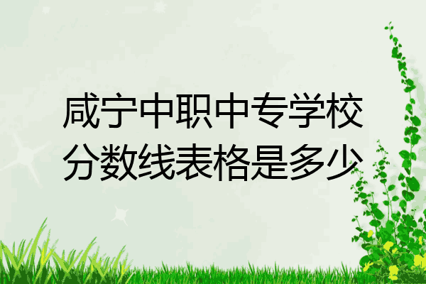 咸宁中职中专学校分数线表格是多少