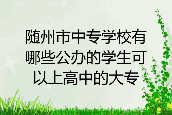 随州市中专学校有哪些公办的学生可以上高中的大专