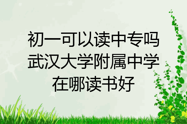 初一可以读中专吗武汉大学附属中学在哪读书好