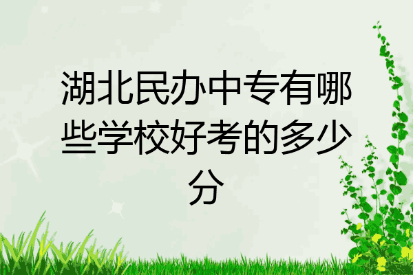 湖北民办中专有哪些学校好考的多少分
