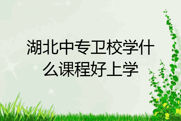 湖北中专卫校学什么课程好上学