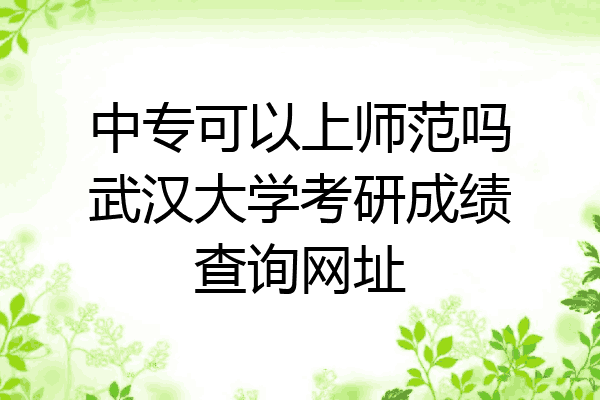 中专可以上师范吗武汉大学考研成绩查询网址