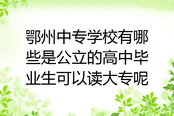 鄂州中专学校有哪些是公立的高中毕业生可以读大专呢