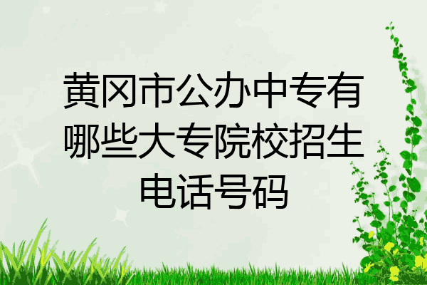 黄冈市公办中专有哪些大专院校招生电话号码