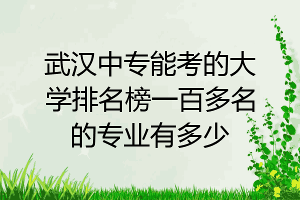 武汉中专能考的大学排名榜一百多名的专业有多少