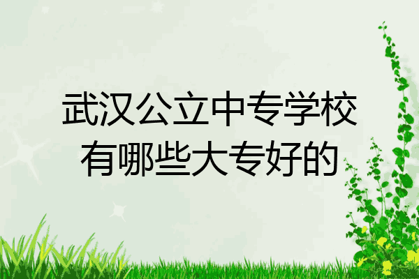 武汉公立中专学校有哪些大专好的
