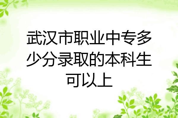 武汉市职业中专多少分录取的本科生可以上