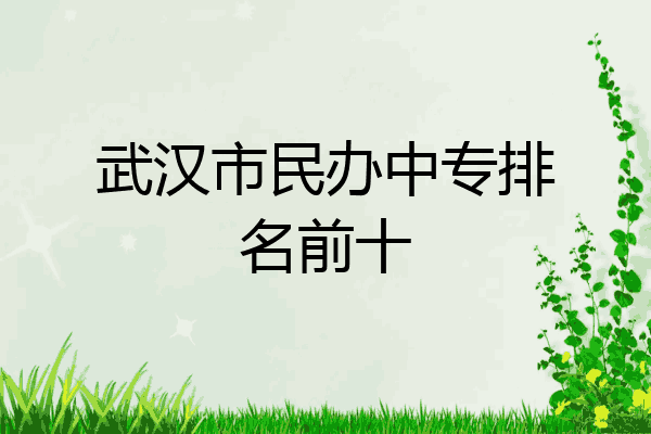 武汉市民办中专排名前十