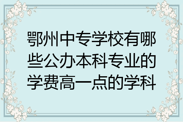 鄂州中专学校有哪些公办本科专业的学费高一点的学科