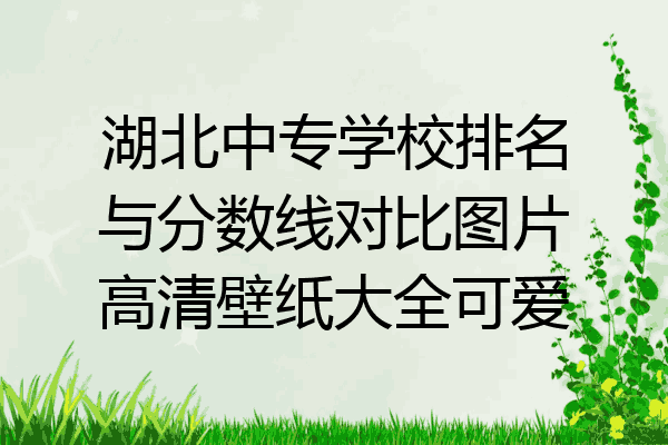 湖北中专学校排名与分数线对比图片高清壁纸大全可爱