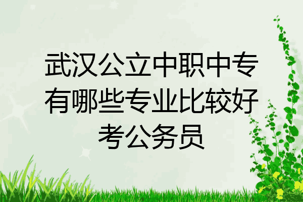 武汉公立中职中专有哪些专业比较好考公务员
