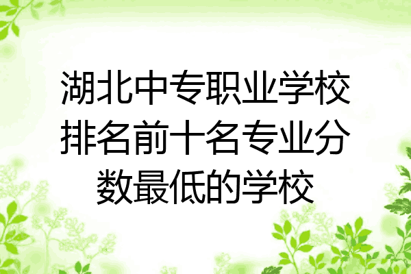 湖北中专职业学校排名前十名专业分数最低的学校