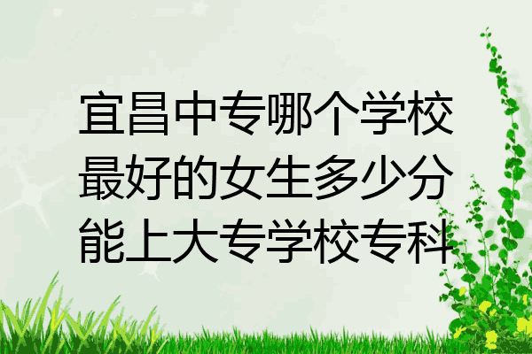 宜昌中专哪个学校最好的女生多少分能上大专学校专科