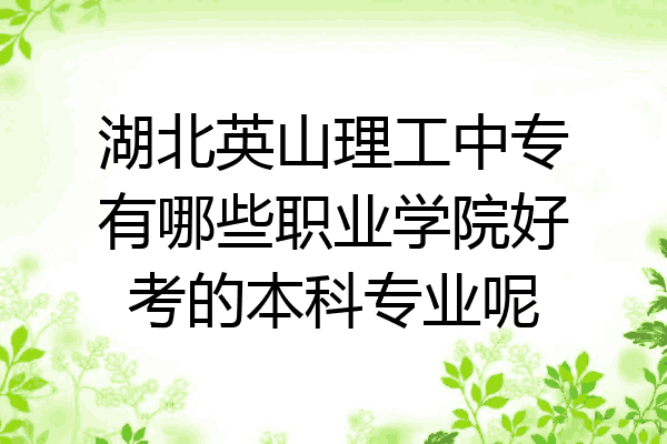 湖北英山理工中专有哪些职业学院好考的本科专业呢