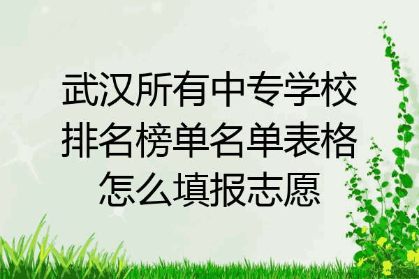 武汉所有中专学校排名榜单名单表格怎么填报志愿