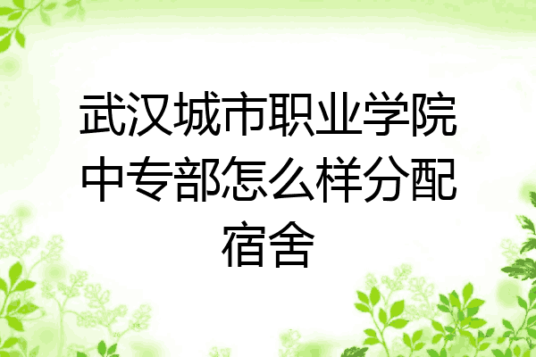 武汉城市职业学院中专部怎么样分配宿舍