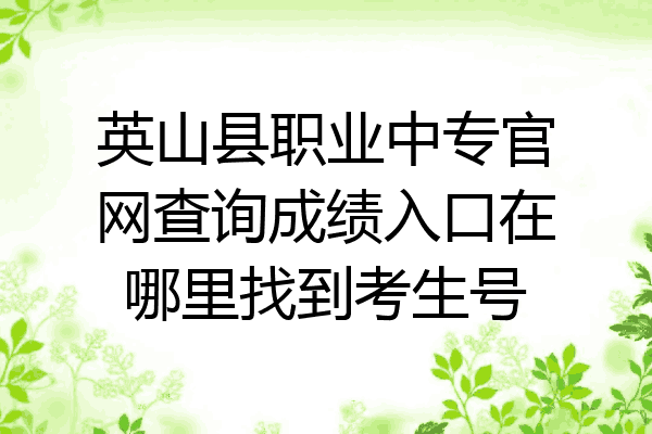 英山县职业中专官网查询成绩入口在哪里找到考生号