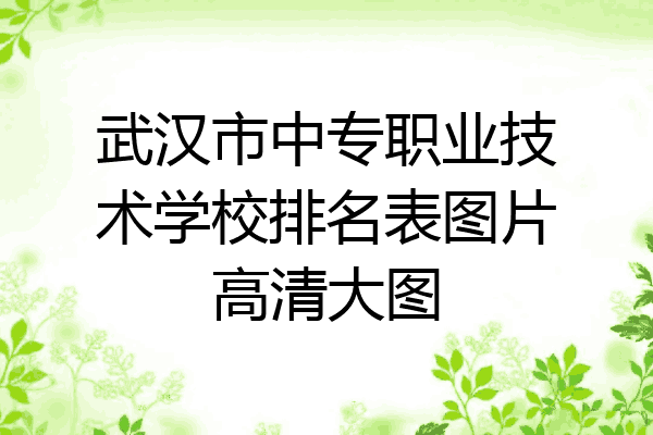 武汉市中专职业技术学校排名表图片高清大图