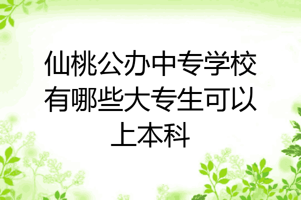 仙桃公办中专学校有哪些大专生可以上本科