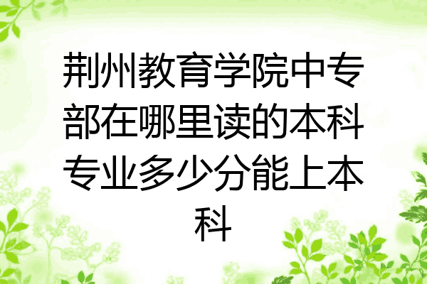 荆州教育学院中专部在哪里读的本科专业多少分能上本科