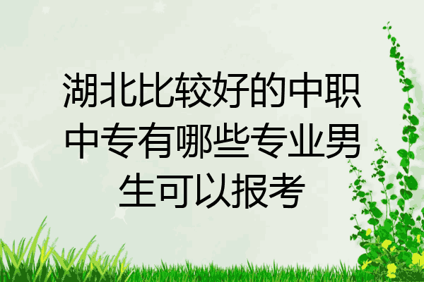 湖北比较好的中职中专有哪些专业男生可以报考