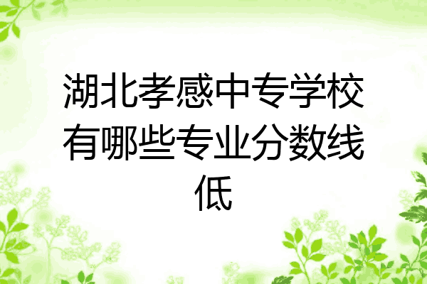 湖北孝感中专学校有哪些专业分数线低