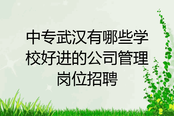 中专武汉有哪些学校好进的公司管理岗位招聘