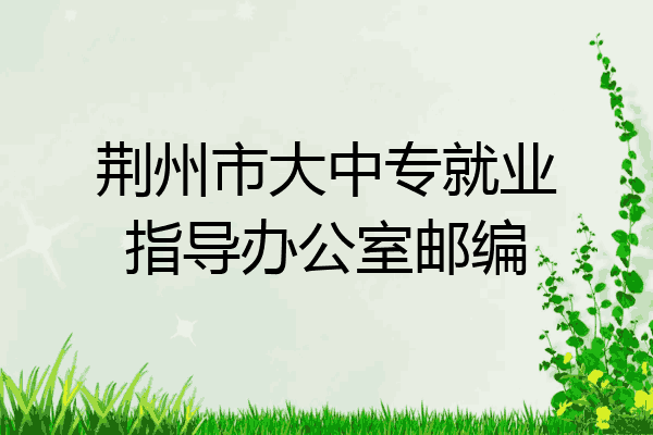 荆州市大中专就业指导办公室邮编