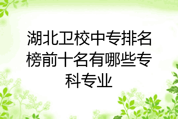 湖北卫校中专排名榜前十名有哪些专科专业