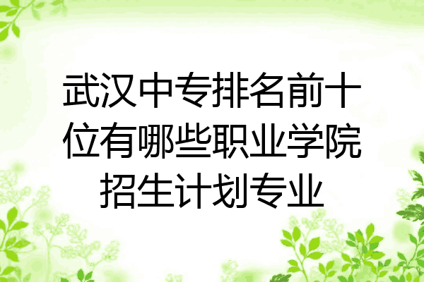 武汉中专排名前十位有哪些职业学院招生计划专业