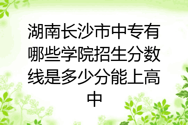 湖南长沙市中专有哪些学院招生分数线是多少分能上高中