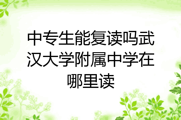 中专生能复读吗武汉大学附属中学在哪里读
