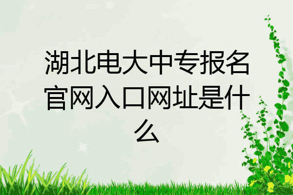 湖北电大中专报名官网入口网址是什么