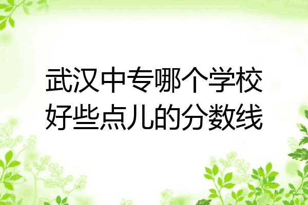 武汉中专哪个学校好些点儿的分数线