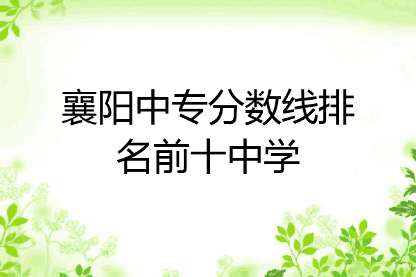 襄阳中专分数线排名前十中学