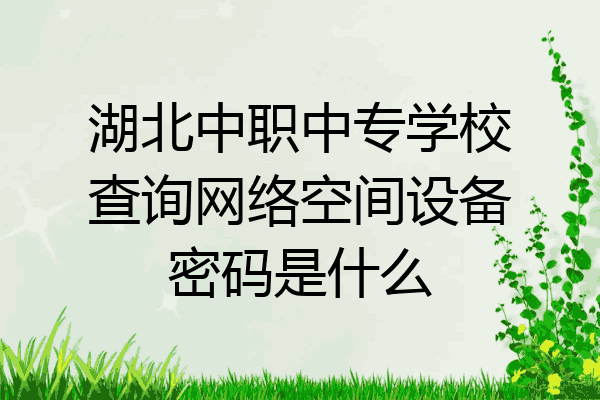 湖北中职中专学校查询网络空间设备密码是什么