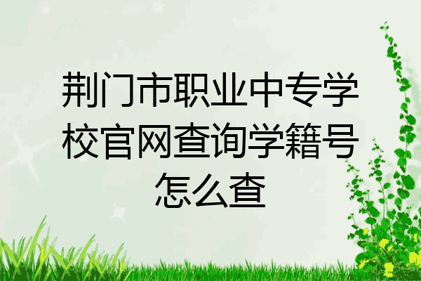 荆门市职业中专学校官网查询学籍号怎么查
