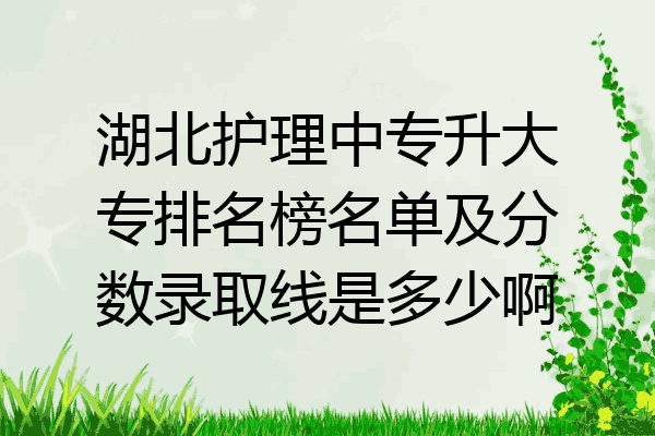 湖北护理中专升大专排名榜名单及分数录取线是多少啊