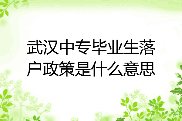 武汉中专毕业生落户政策是什么意思