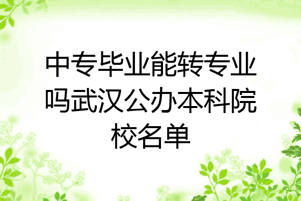 中专毕业能转专业吗武汉公办本科院校名单