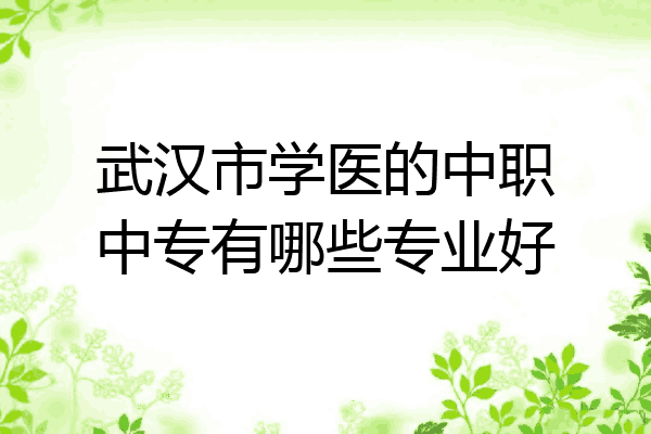 武汉市学医的中职中专有哪些专业好
