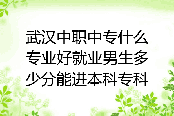 武汉中职中专什么专业好就业男生多少分能进本科专科