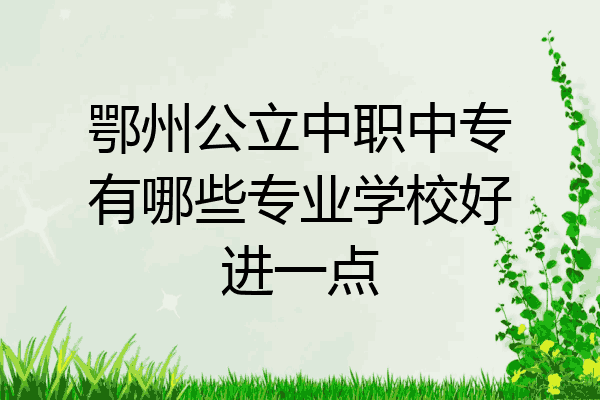 鄂州公立中职中专有哪些专业学校好进一点