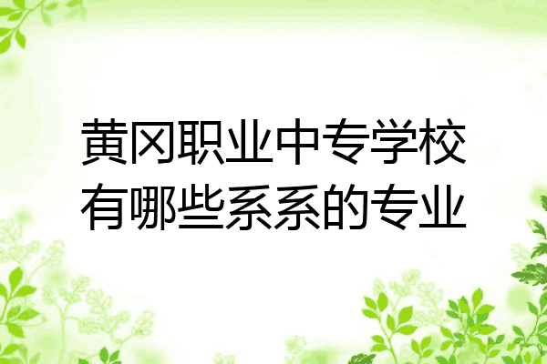黄冈职业中专学校有哪些系系的专业