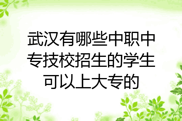 武汉有哪些中职中专技校招生的学生可以上大专的
