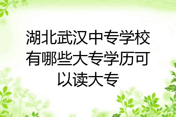 湖北武汉中专学校有哪些大专学历可以读大专