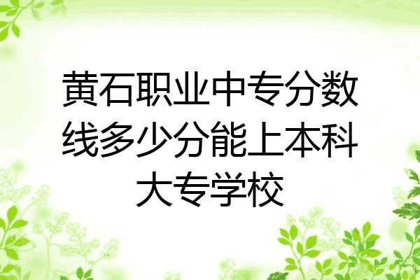 黄石职业中专分数线多少分能上本科大专学校